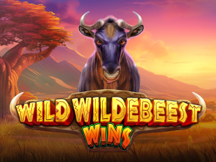 Wild Wildebeest Wins